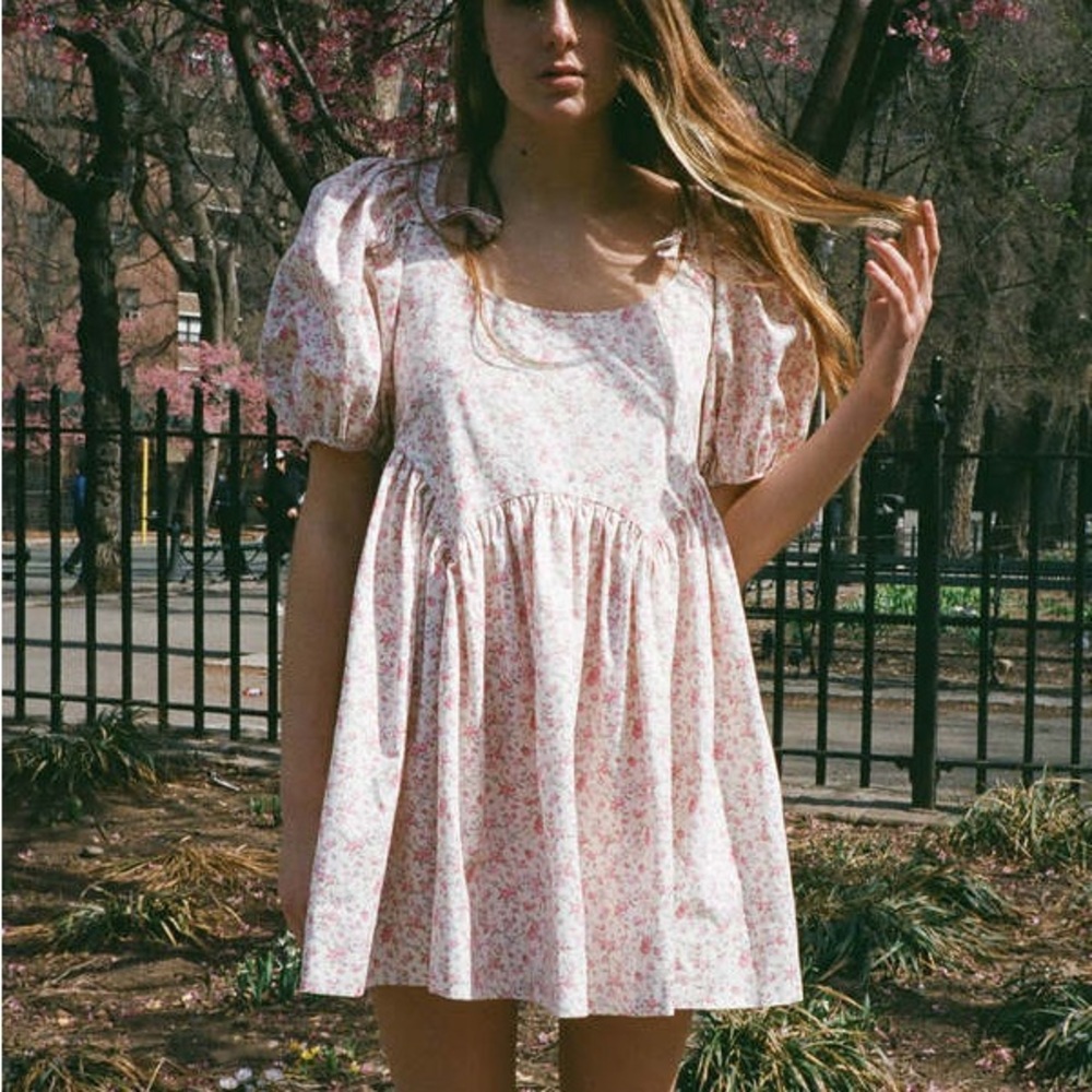 Sandy Liang Hugo Floral Dress Size 10